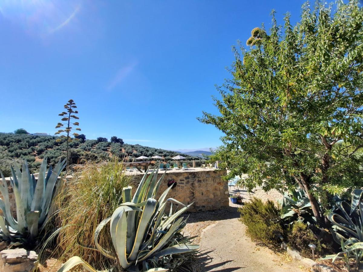 Hacienda La Buena Vida B&B En Appartementen Casita La Bruja Algarinejo Exterior photo