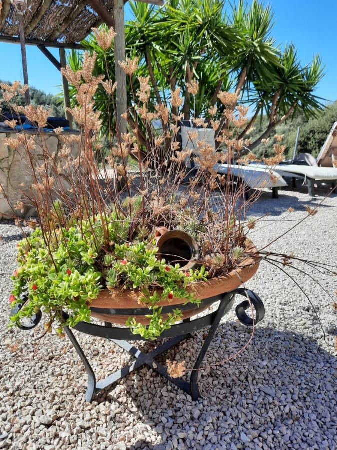 Hacienda La Buena Vida B&B En Appartementen Casita La Bruja Algarinejo Exterior photo