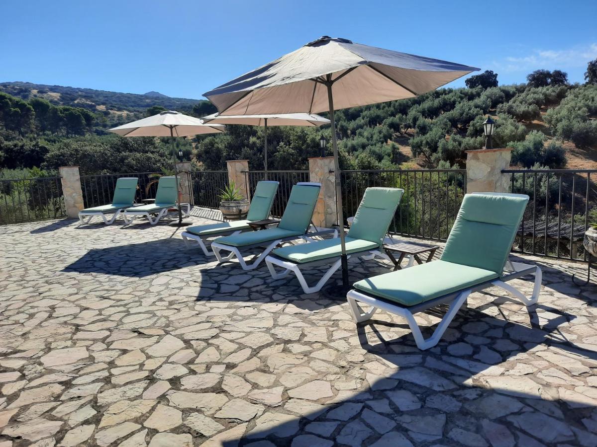 Hacienda La Buena Vida B&B En Appartementen Casita La Bruja Algarinejo Exterior photo