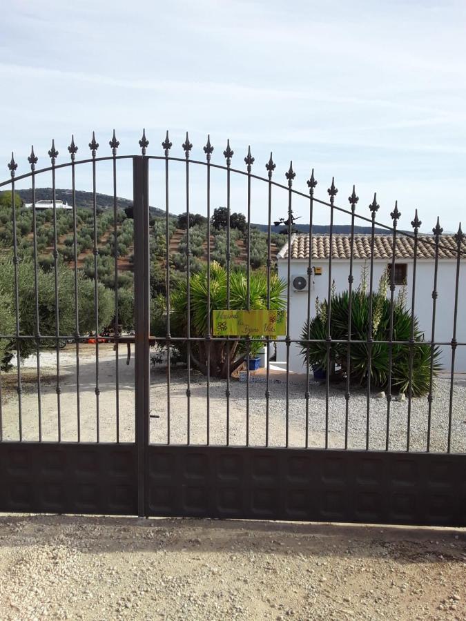 Hacienda La Buena Vida B&B En Appartementen Casita La Bruja Algarinejo Exterior photo